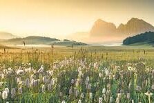 炸金花中的K金-K金在炸金花中的独特魅力